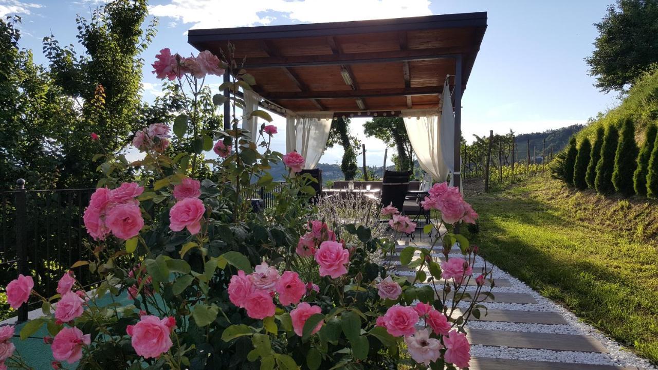 Valentina Guest House At Pintar Wine Estate Kojsko Bagian luar foto
