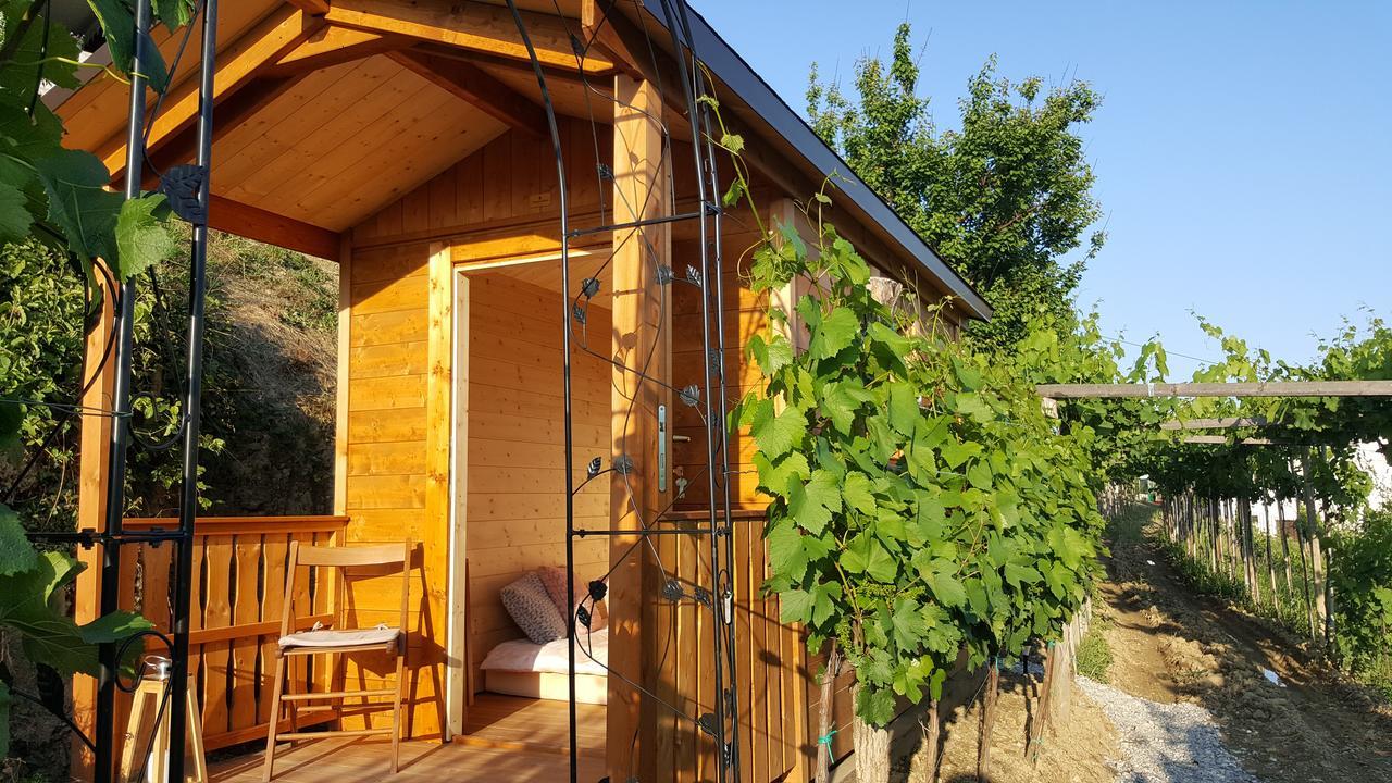 Valentina Guest House At Pintar Wine Estate Kojsko Bagian luar foto